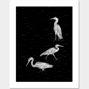 Three Herons Posters and Art